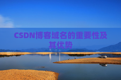 CSDN博客域名的重要性及其优势
